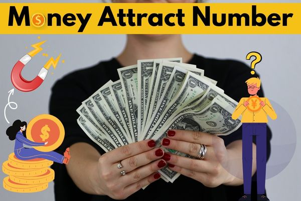 Money number in numerology